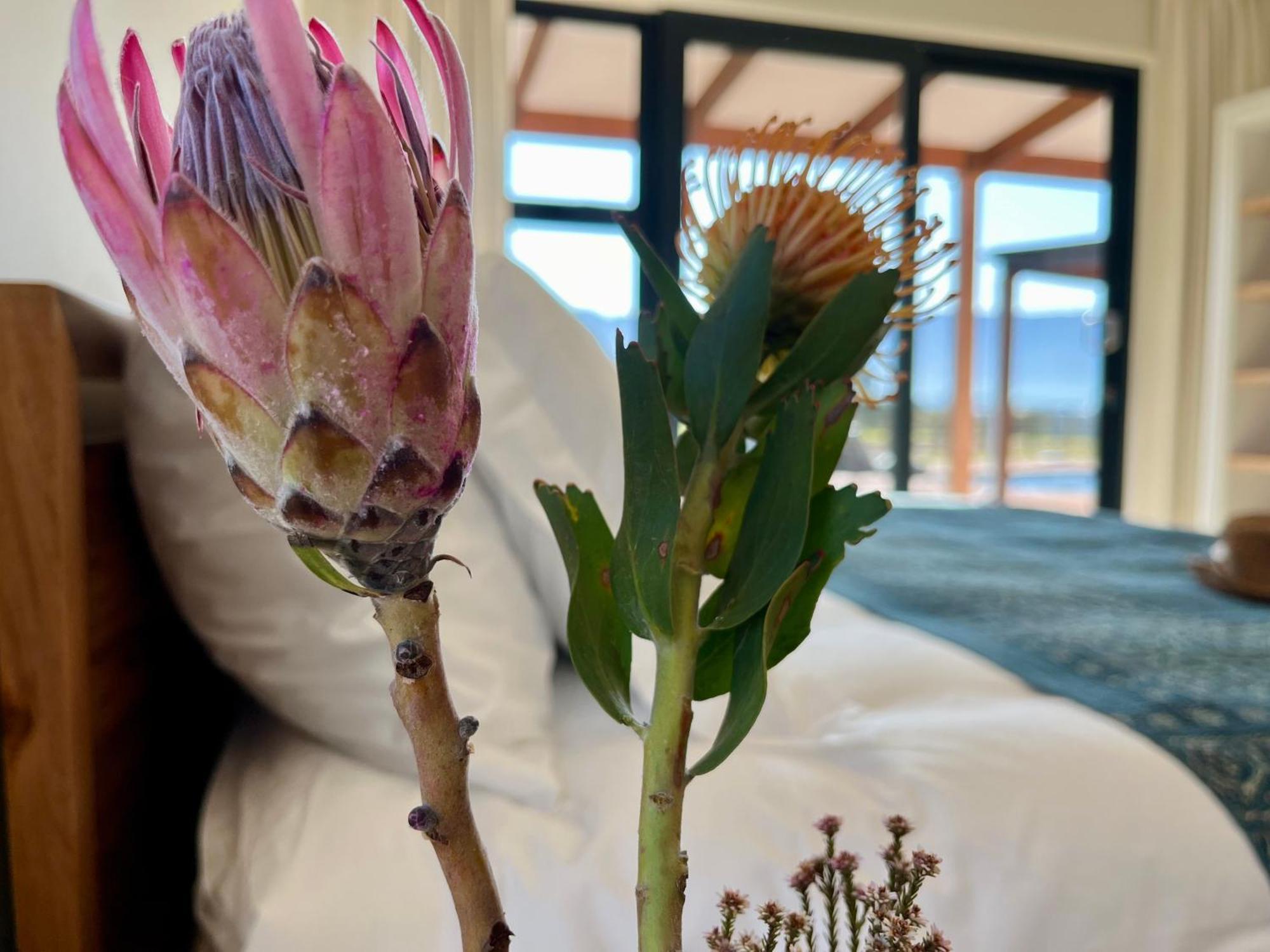 Raptor Rise Tulbagh Eksteriør billede